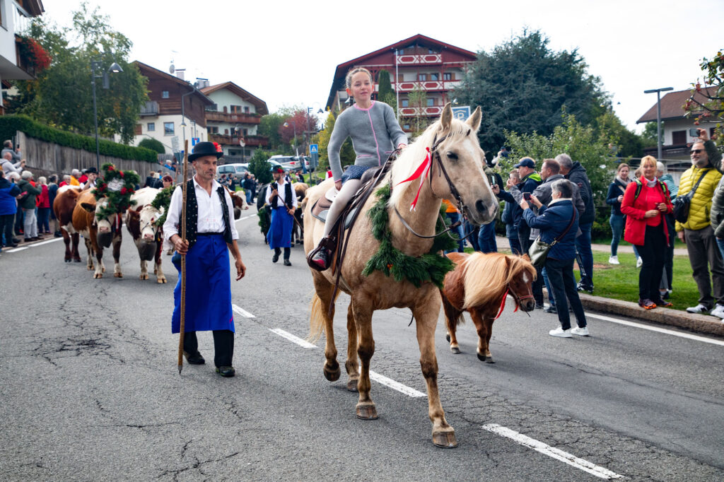 Horses, cows, and farmers are all part of the parade in Kastelruth.