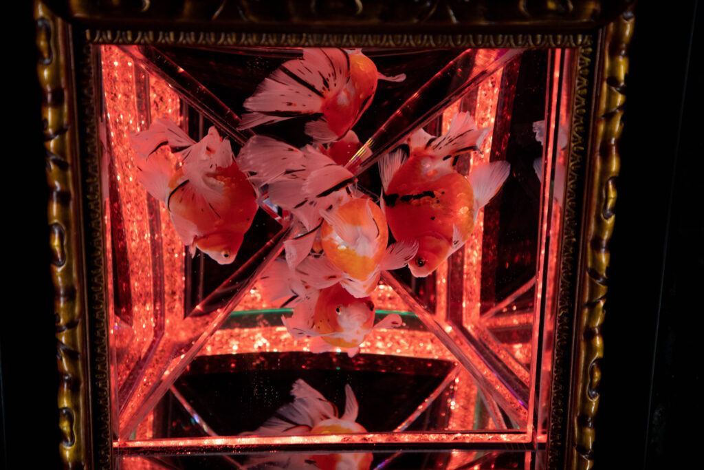 Art Aquarium in Ginza is a Tokyo museum you should not miss.