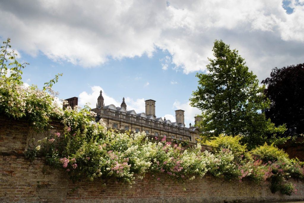 Beautiful flowers line the Thames.