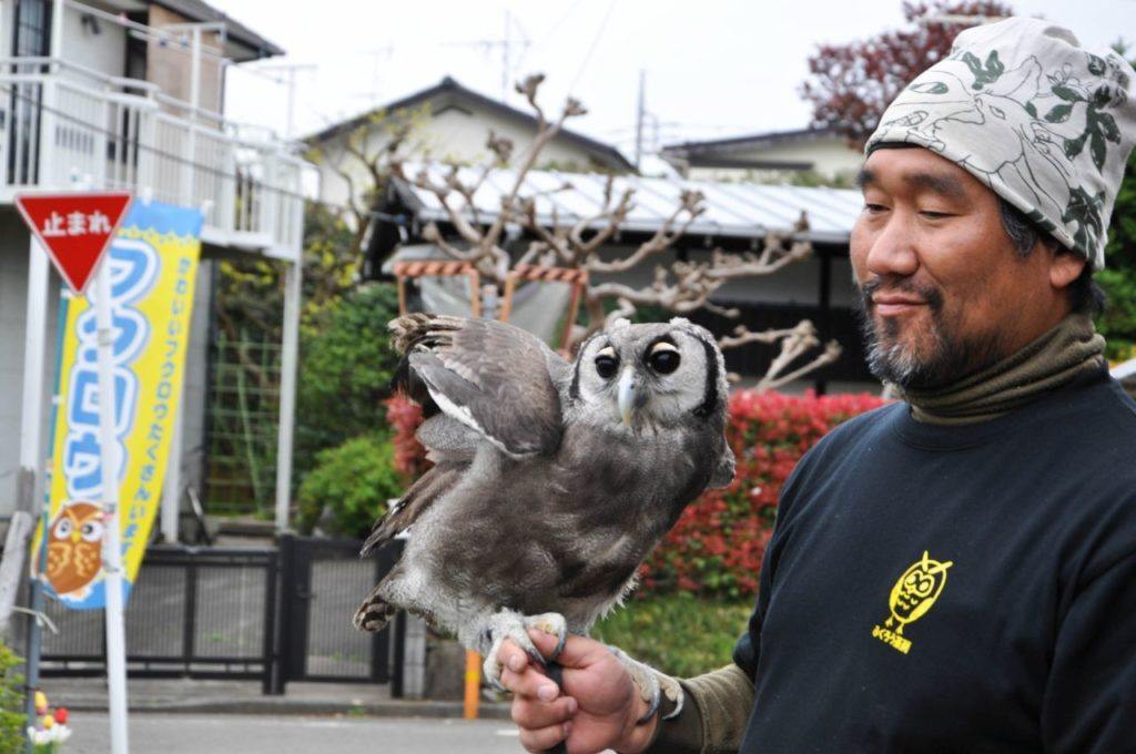Owl and his owner in front of the Tokyo Owl Cafe.