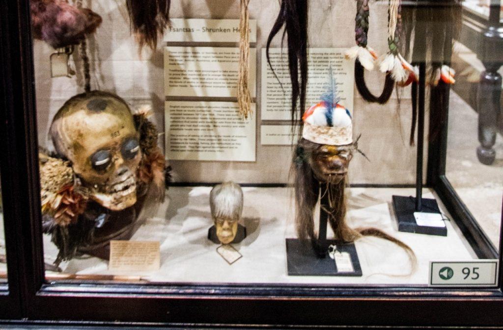Shrunken head display at Pitt Rivers Museum.