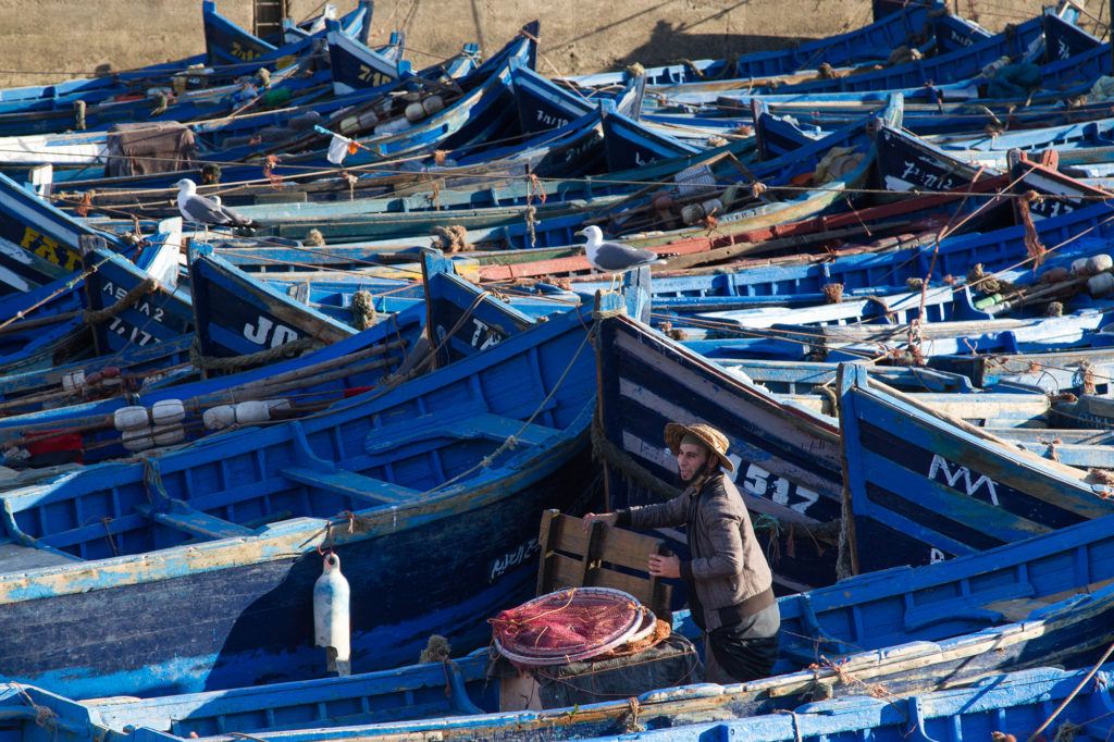 These blue fishing boats in and around the harbor are part of the reason Essaouira is such a beautiful city.