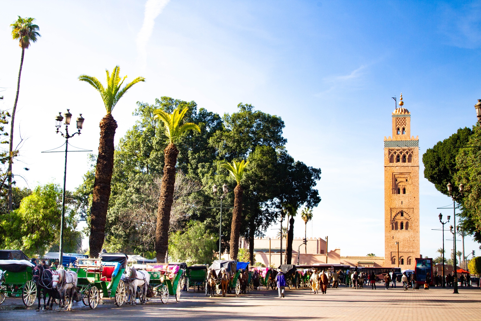 Horse drawn carriages line up to offer tours near the Koutoubia Mosque Minaret.