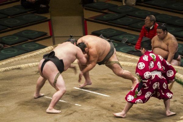 The wrestling begins.