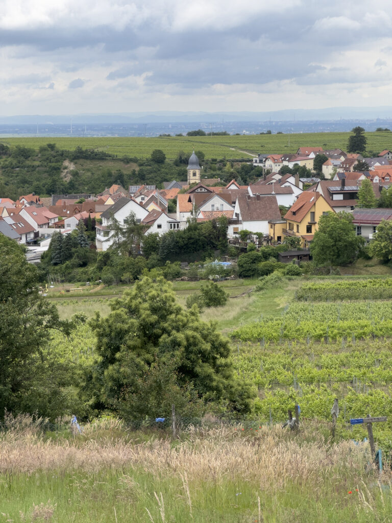 View of Bad Dürkheim.
