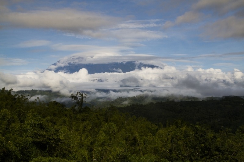 Kinabalu