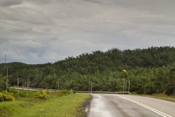 Roads in Malaysia are not too bad.