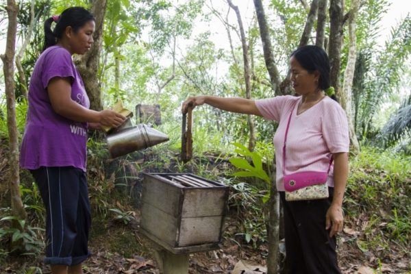 Village women harvest honey in Malaysia.