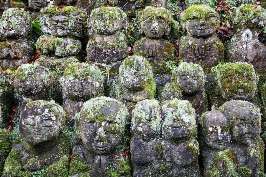 Many moss-covered rakan.