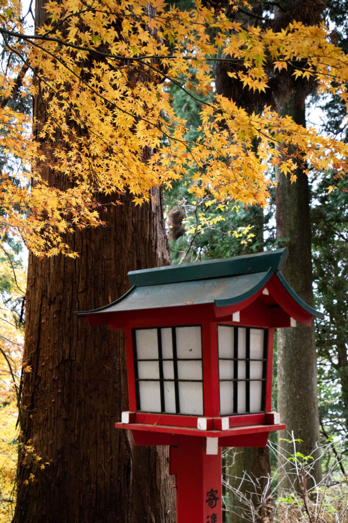 Red lanterns line the Mt. Takao hike to the top. Mt. Takao is a wonderful day trip out of Tokyo to get some fresh air.
