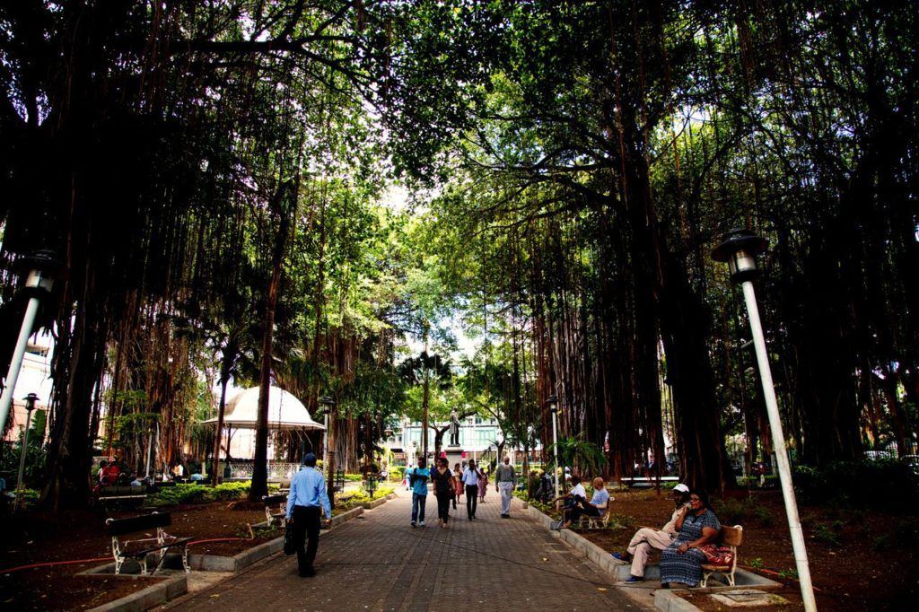 Things to do in Port Louis should include relaxing in the Jardin de la Companie.
