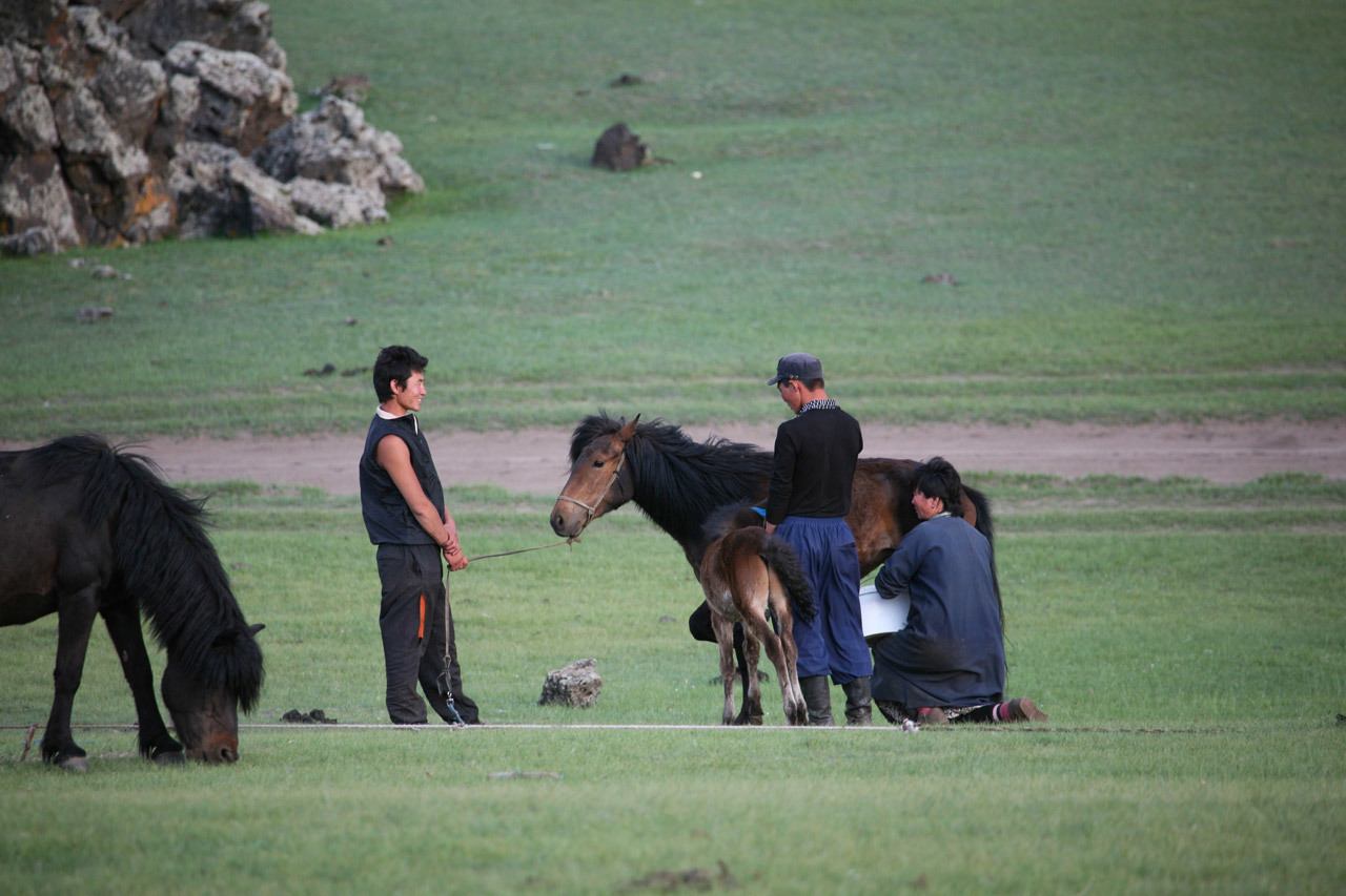 Mama is milking the mare as her husband and son look on.