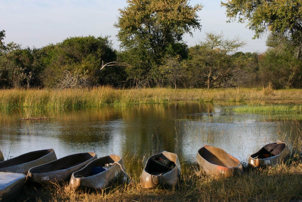 Dugout-type boats called Mokoros are perfect for Botswana safaris because they go through shallow, narrow wetlands.