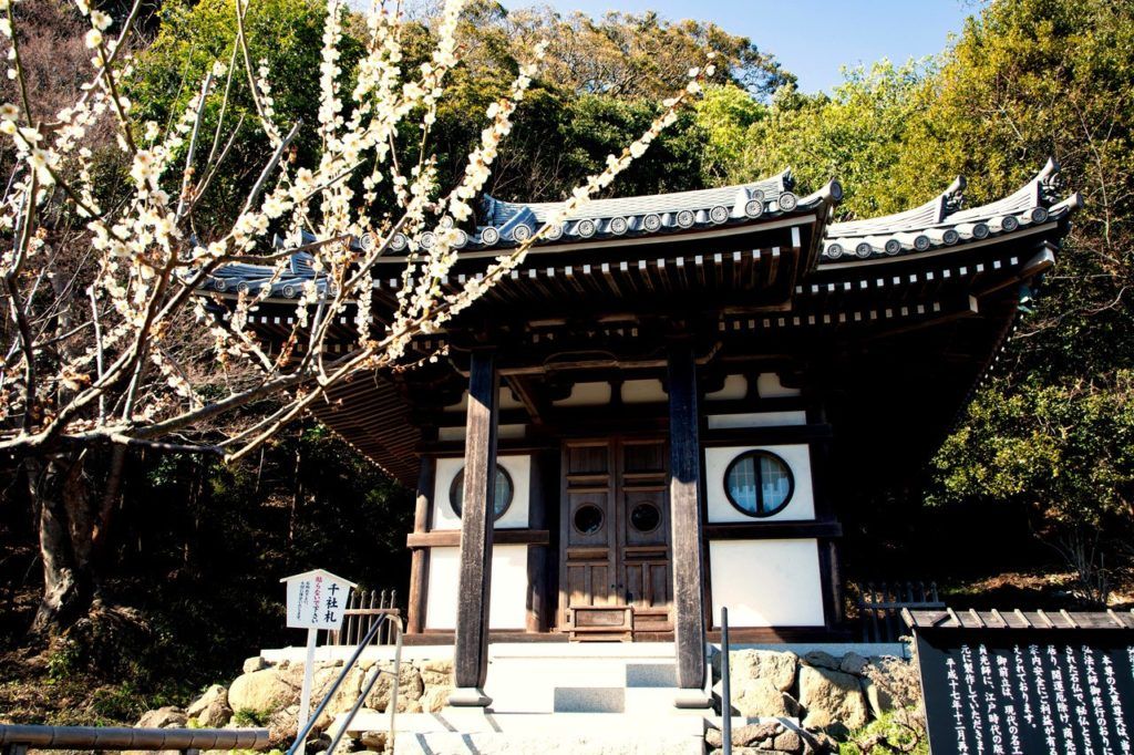 Entrance of Mt. Nokogiri with blossoms on the trees.