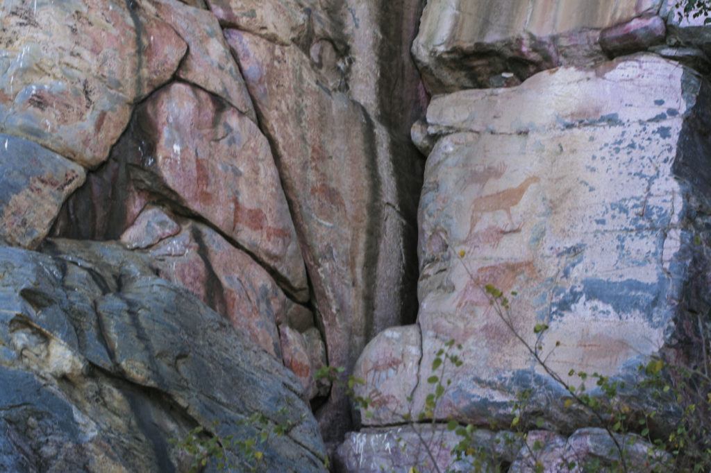 Ancient Tsodilo Hills Rock Paintings of animal figures.