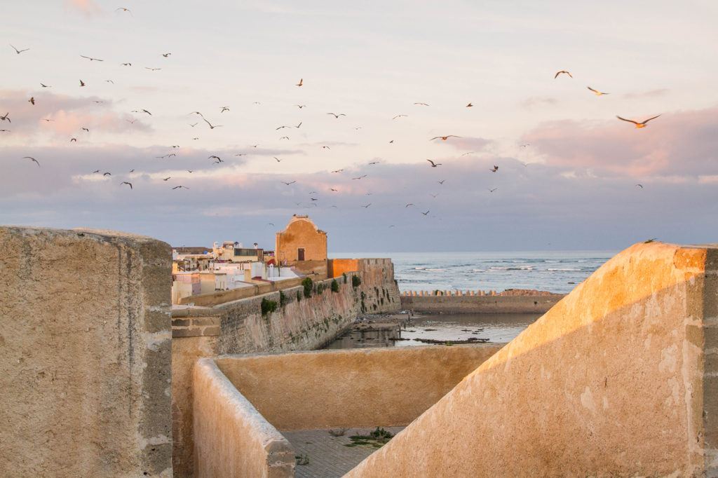 View of the old city walls and Atlantic Ocean with a flock of seagulls flying overhead.