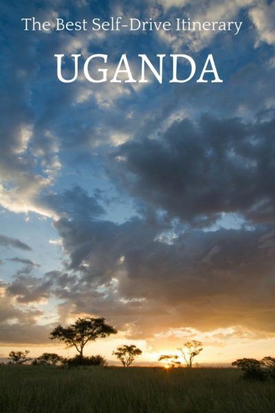 Is a Gorilla or Chimpanzee African safari on your bucket list? This is the perfect Uganda road trip.