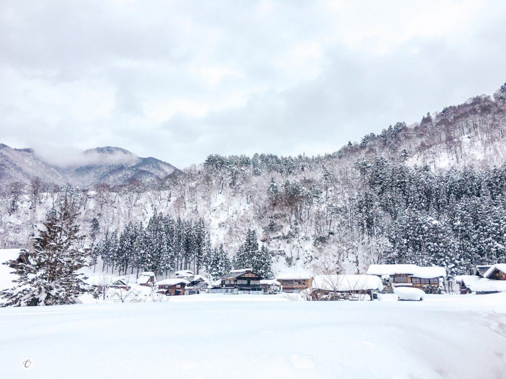 Shirakawago is the perfect place to go in winter in Japan.