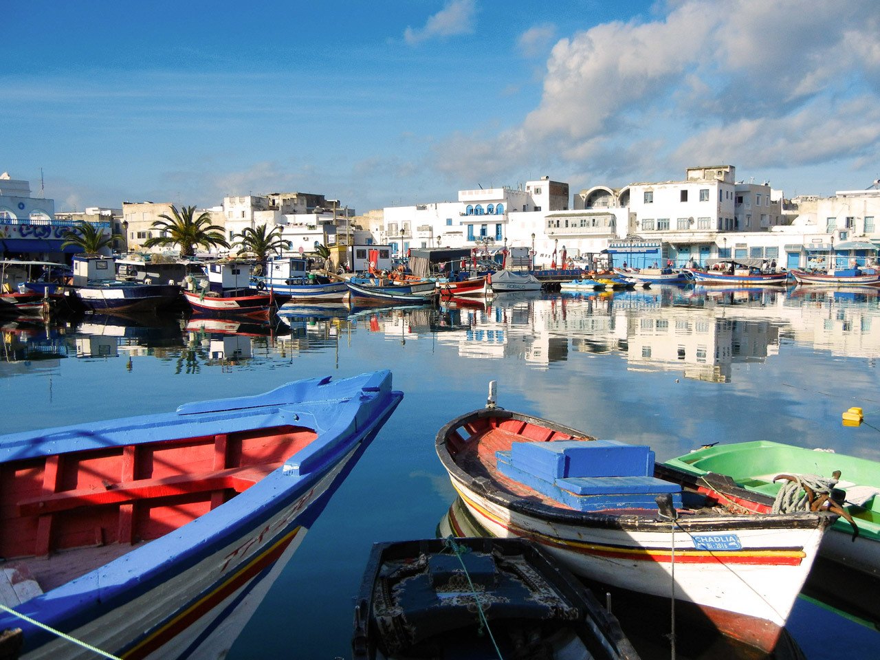 Sidi Bou Said Harbor, one of the most beautiful things to do from Tunis.