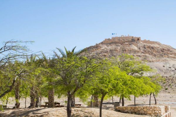 Hilltop ruins on the Incense Trail in the Negev.