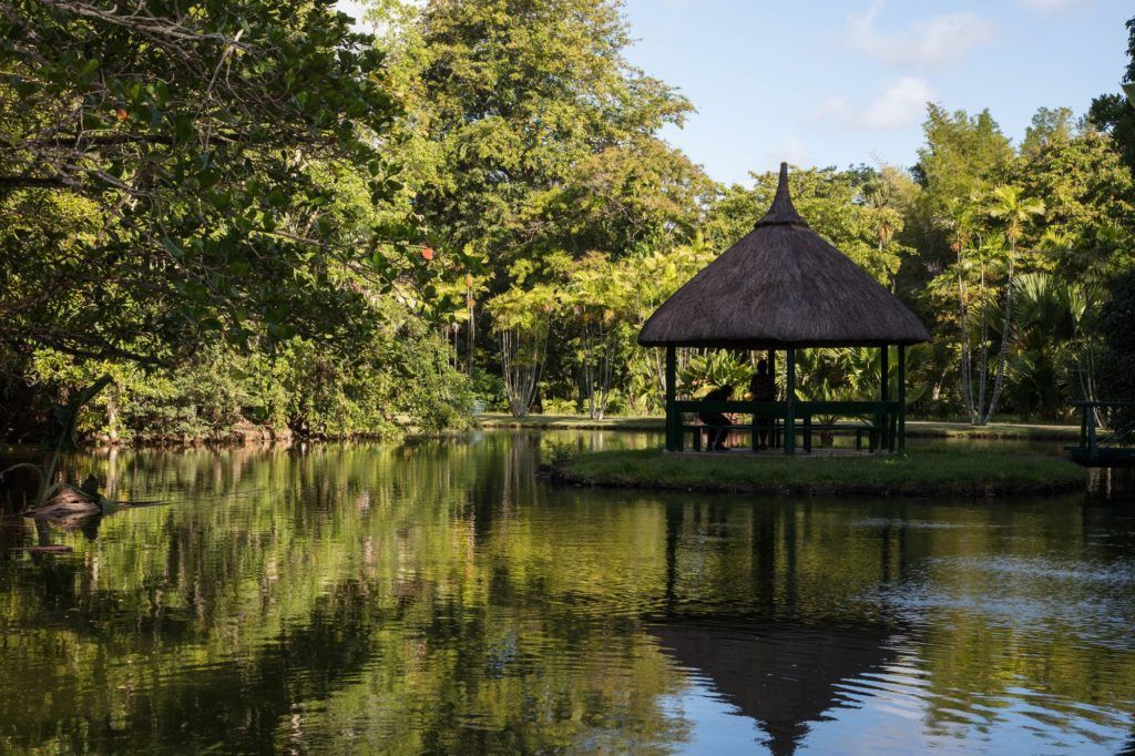 A gazebo in the botancial gardens provide this couple shade and relaxation.