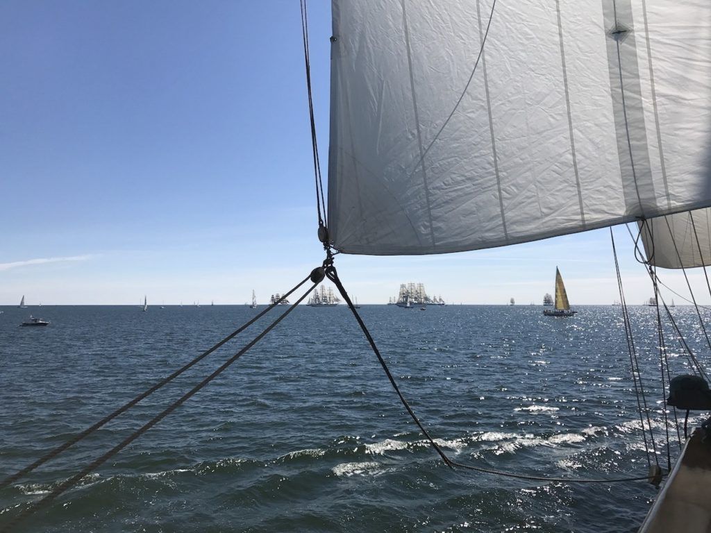 Tall ship trips are becoming more popular; it's all about learning how to sail!