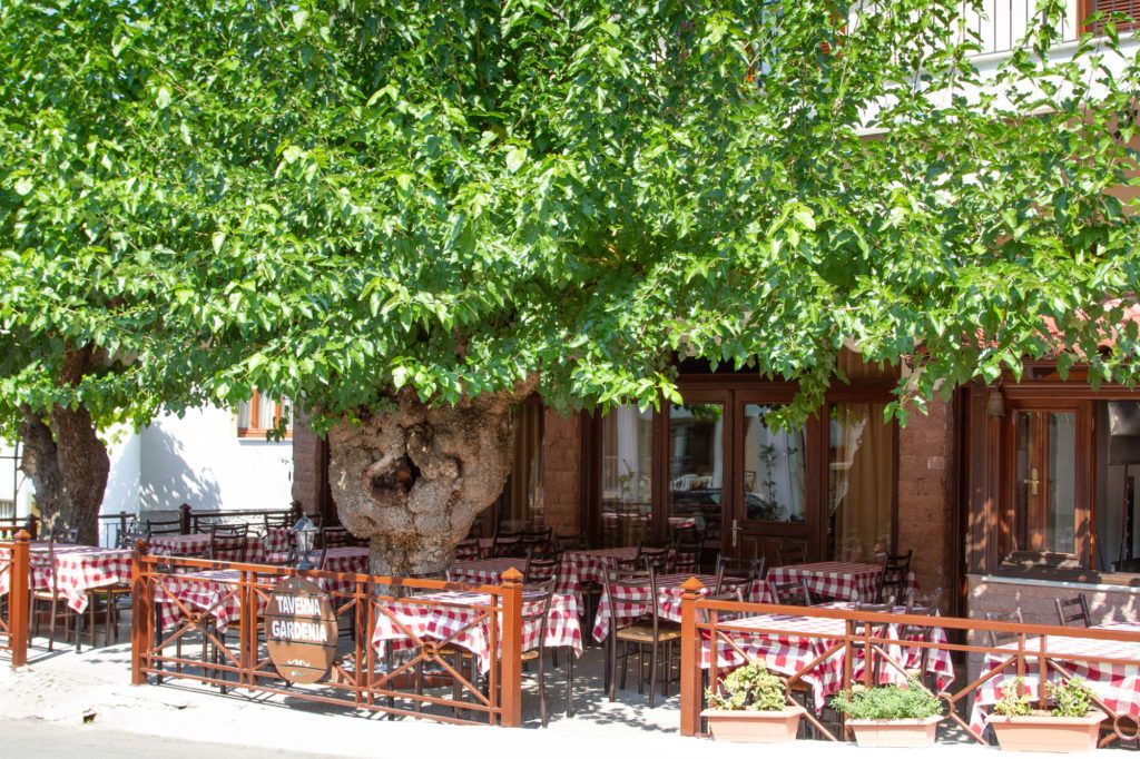 Taverna Gardenia in Kastraki.