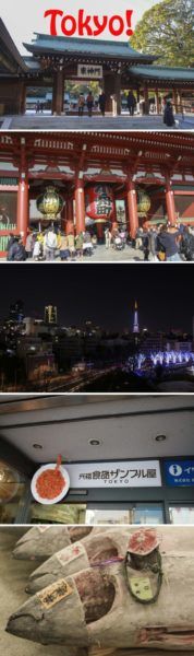 All the best things to do in Tokyo!