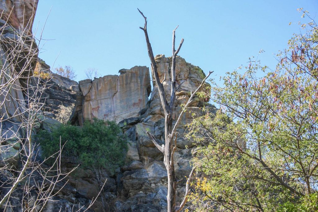 Cattle and a giraffe painted high up on a rock at Tsodilo Hills World Heritage Site, Botswana.