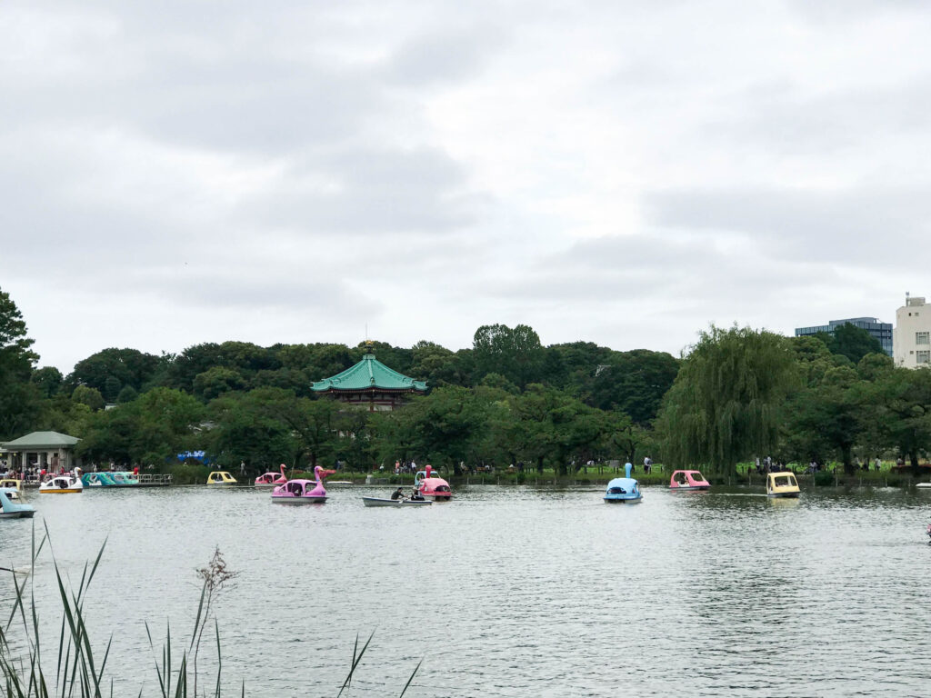 Ueno park is popular with the locals for renting a paddle boat and enjoying being outside.