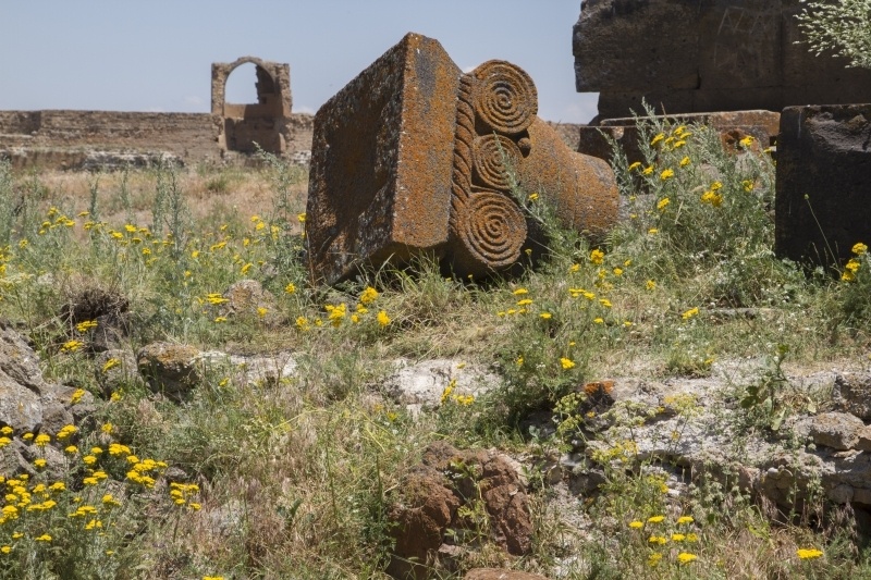 untitled (214 of 235)-8