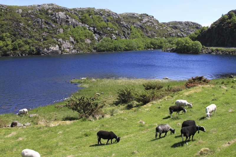 untitled (375 of 1568)-1