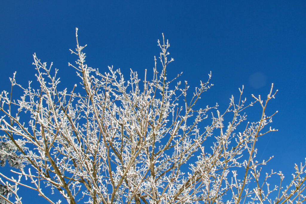 Stunning winter vistas on Kreuzberg.