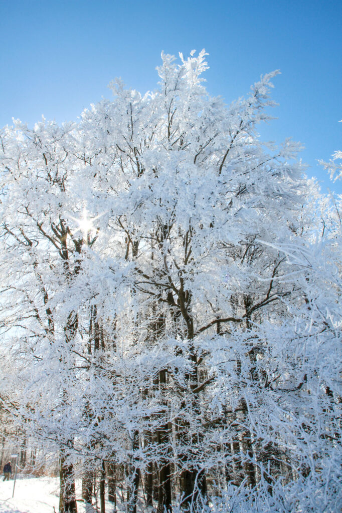 Stunning winter vistas on Kreuzberg.