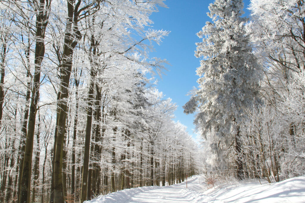 Stunning winter vistas on Kreuzberg.