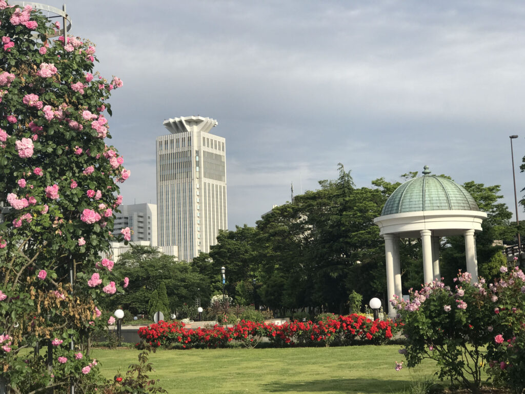 Yokosuka park along the bay, such a gorgeous day trip from Tokyo.