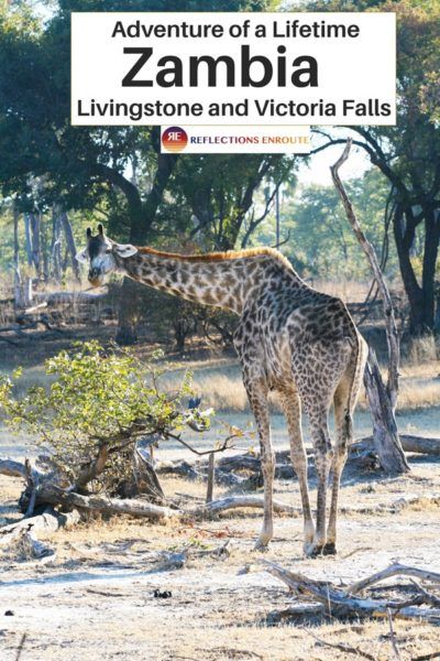 Who wants to go on safari then see some magnificent waterfalls? Zambia is for you!