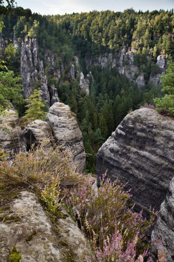 Pink wildflowers highlight the sandstone pillars.
