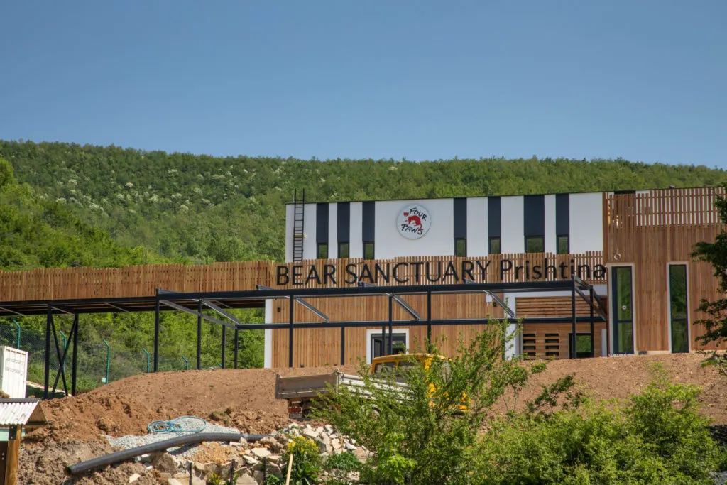 Bear sanctuary outside of Pristina, Kosovo.