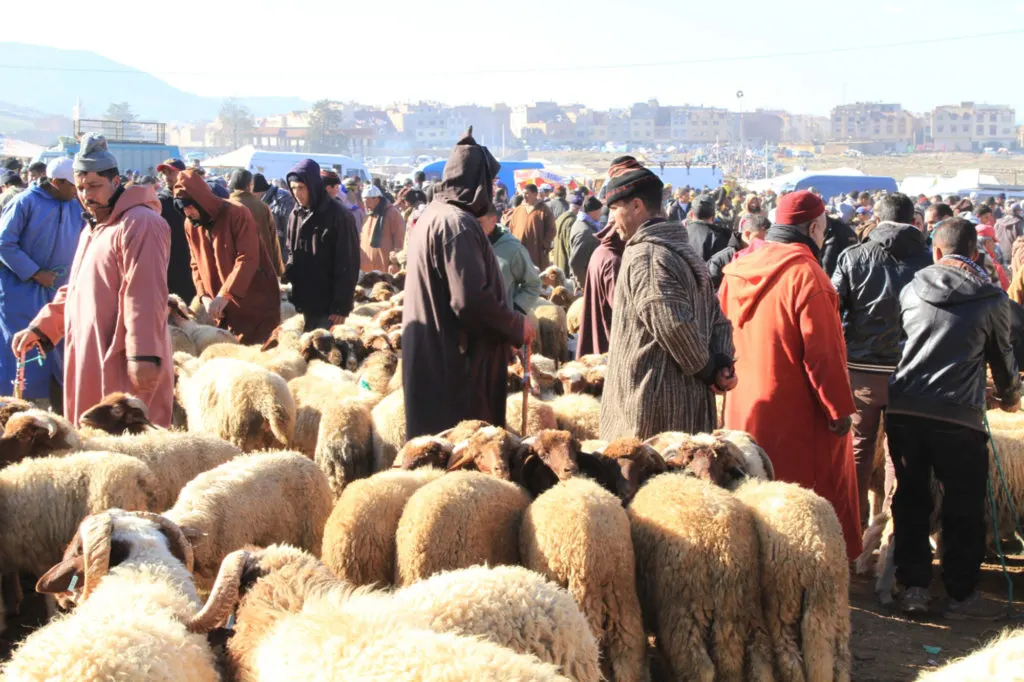 You can buy anything at the sprawling Berber market in Azrou, Morocco, including food, livestock, and textiles.