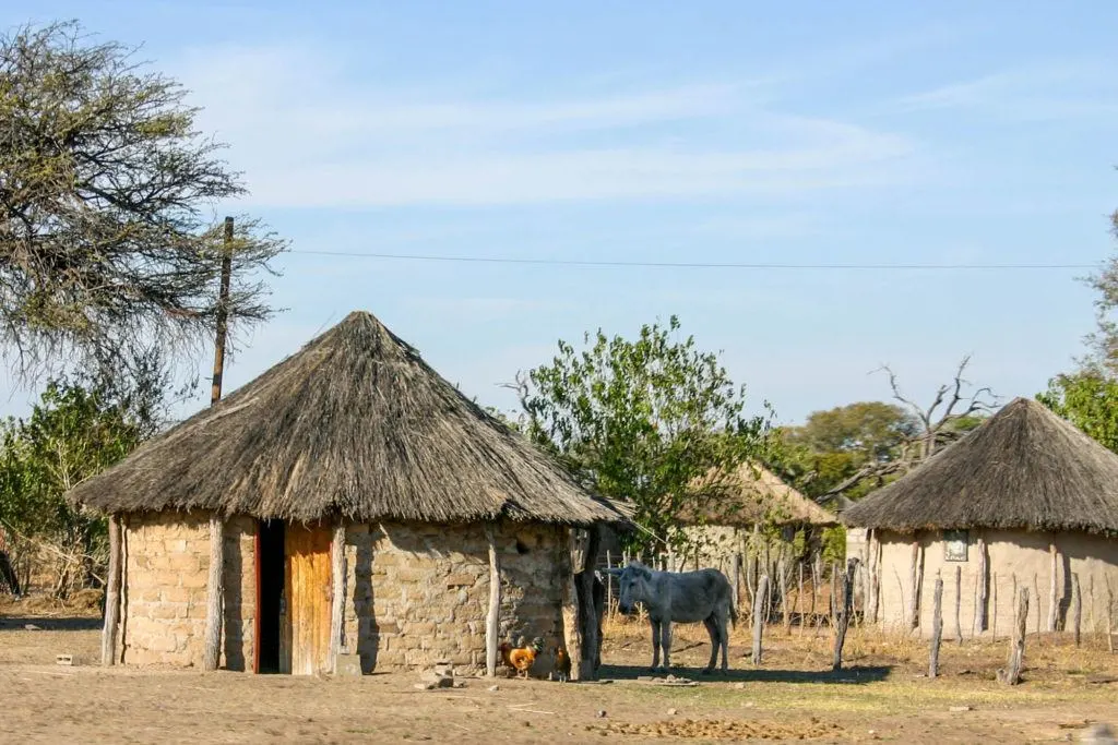 A cluster of round mudbrick huts with cone-shaped thatch roofs (rondavels) in Seronga.