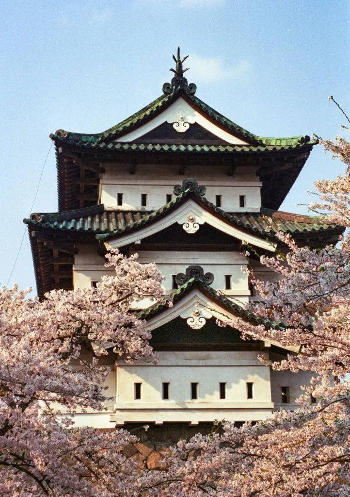 Hirosaki Castle cloaked in pink petals makes it one of the best places to see Japanese cherry blossoms.