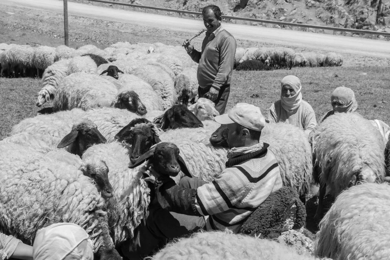A Unique Turkish Experience - A Black and White Photo Essay