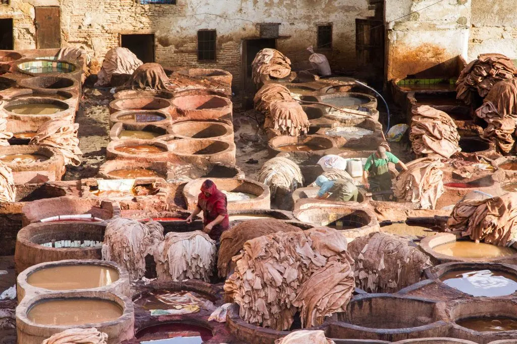 A man removes pelts from a pit and stacks them in a huge pile.