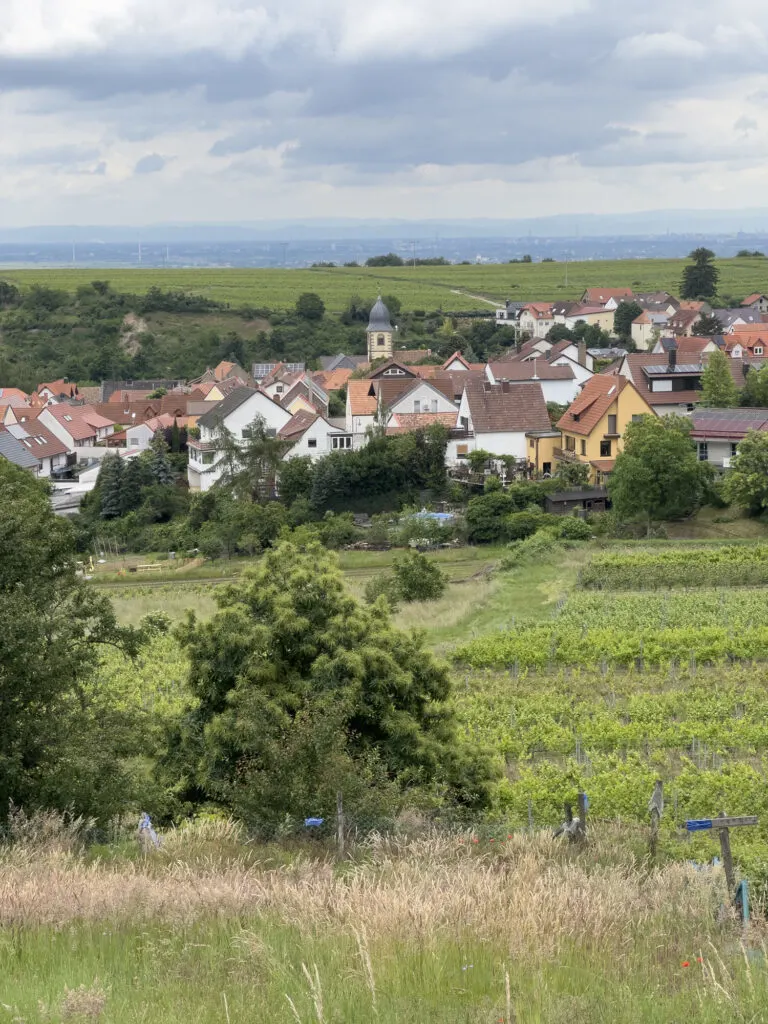 View of Bad Dürkheim.