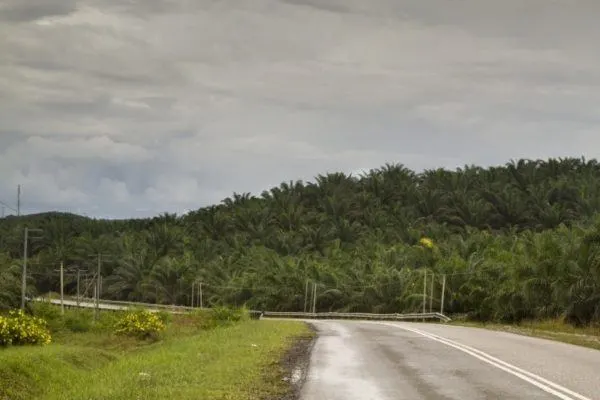 Roads in Malaysia are not too bad.