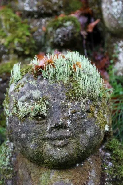 Close up of a rakan at the Otagi Nenbutsu-ji Temple.