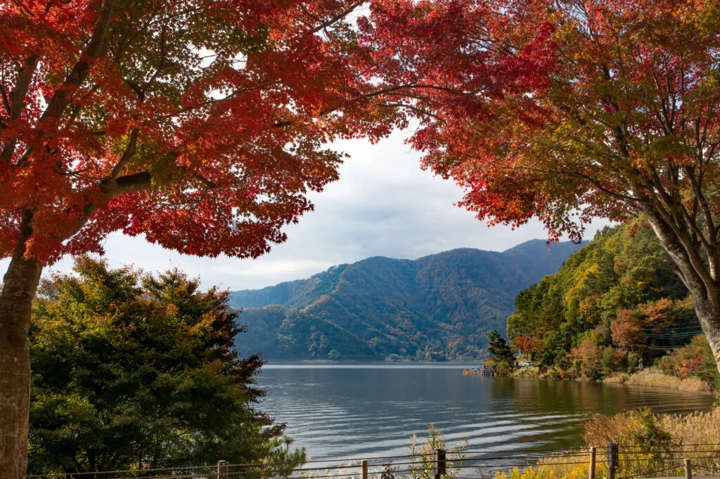 Lake Kawaguchi is a splendid road trip drive in Japan.