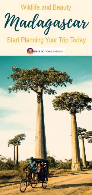 Always wanted to visit the enchanted forests of Madagascar? Check out our 2 week intinerary!