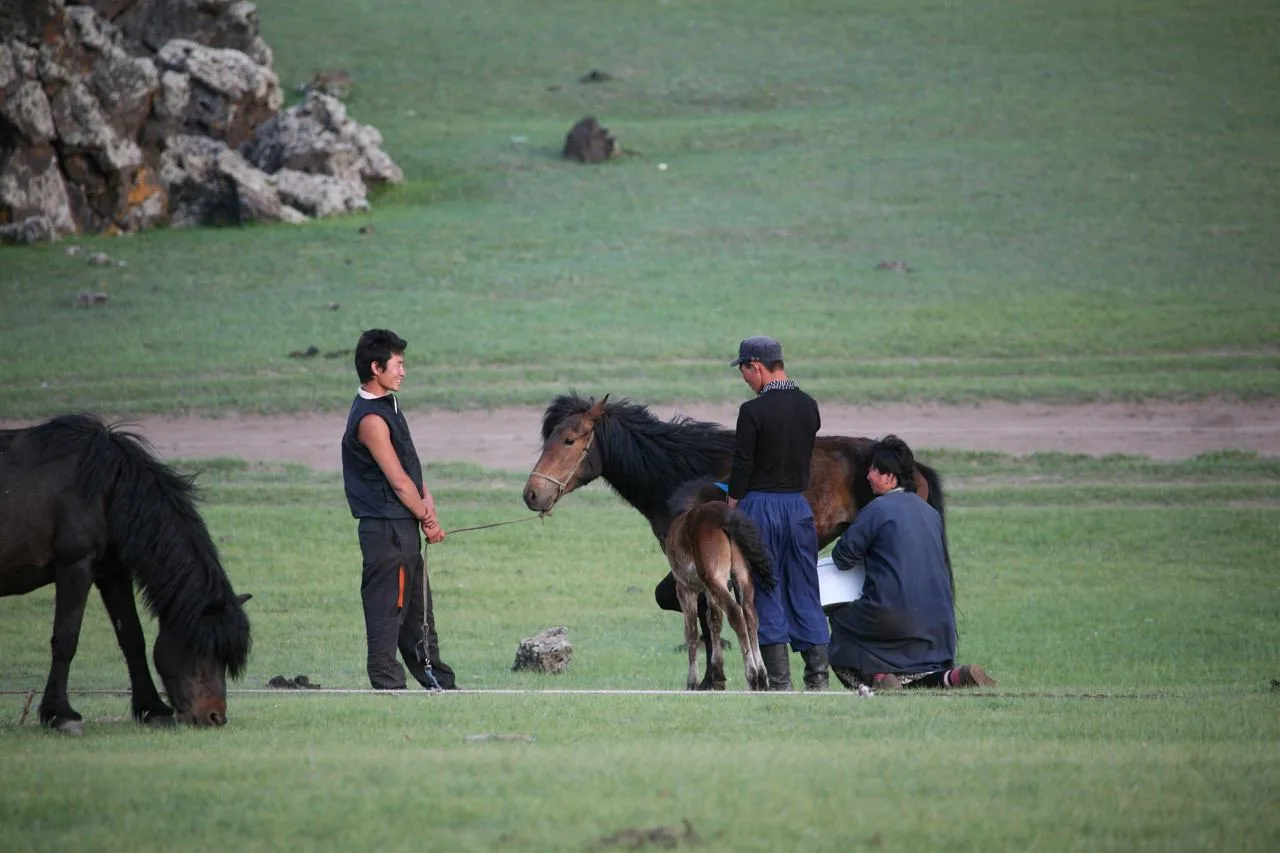 Mama is milking the mare as her husband and son look on.
